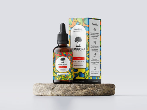 Fungora chaga bottle and box